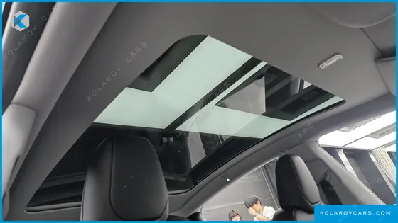 TESLA MODEL Y RWD