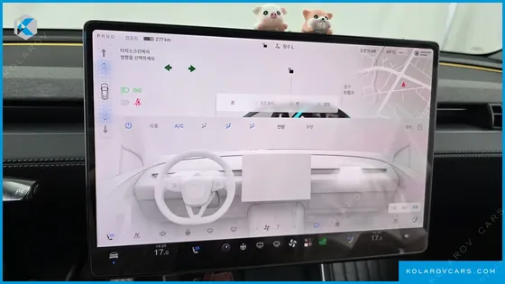 TESLA MODEL Y RWD