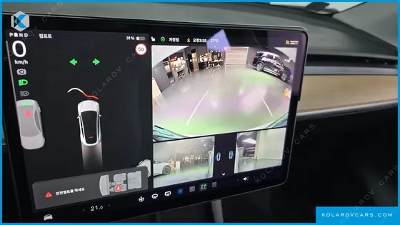 TESLA MODEL Y STANDARD RANGE RWD