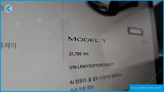 TESLA MODEL Y RWD