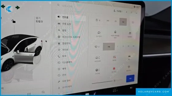 TESLA MODEL Y RWD