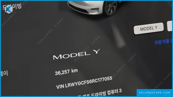 TESLA MODEL Y RWD
