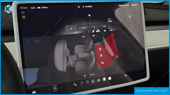 TESLA MODEL Y RWD