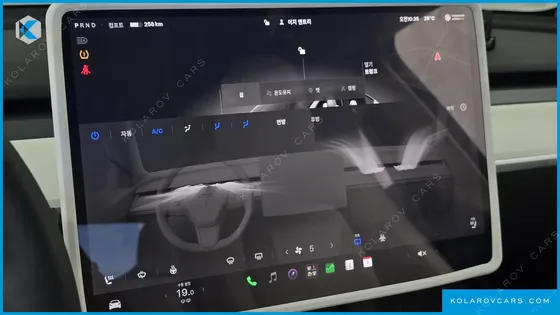TESLA MODEL Y RWD