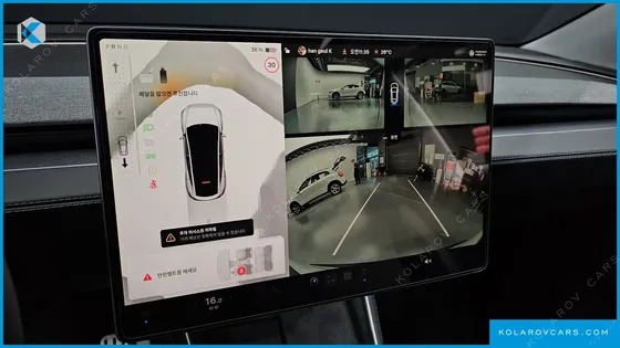 TESLA MODEL Y RWD