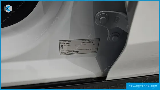 TESLA MODEL Y RWD