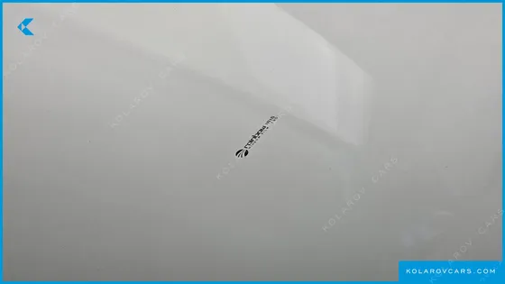 TESLA MODEL Y PERFORMANCE AWD