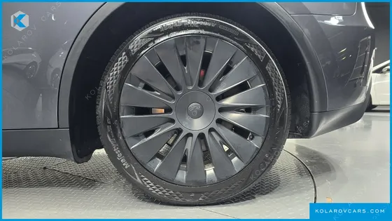 TESLA MODEL Y RWD