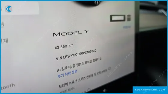 TESLA MODEL Y RWD