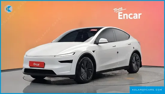 TESLA MODEL Y LONG RANGE AWD
