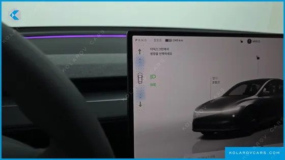 TESLA MODEL Y PREMIUM LONG RANGE AWD