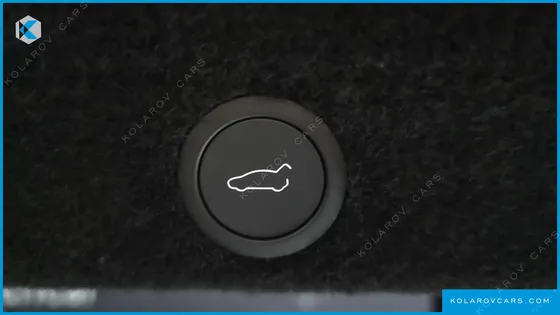 TESLA MODEL Y PREMIUM RWD