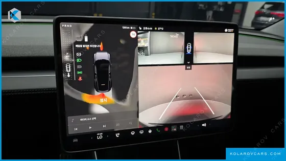 TESLA MODEL Y RWD