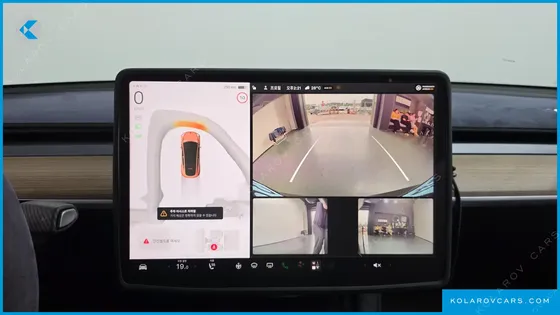 TESLA MODEL Y RWD