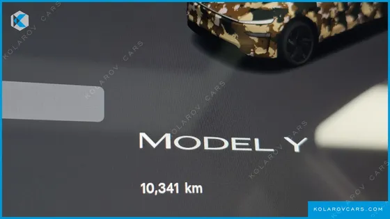 TESLA MODEL Y RWD