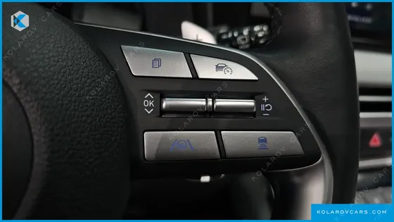 HYUNDAI PALISADE GASOLINE 3.8 2WD