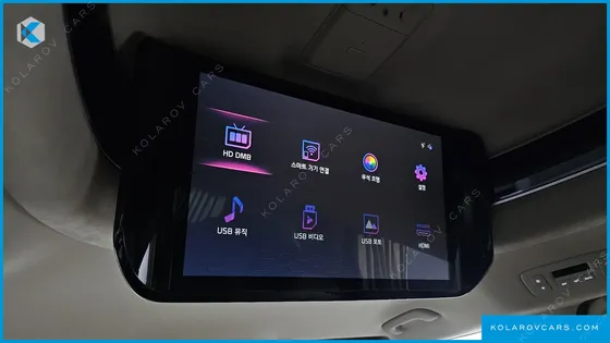 KIA CARNIVAL GASOLINE 9-SEATER HI-LIMOUSINE