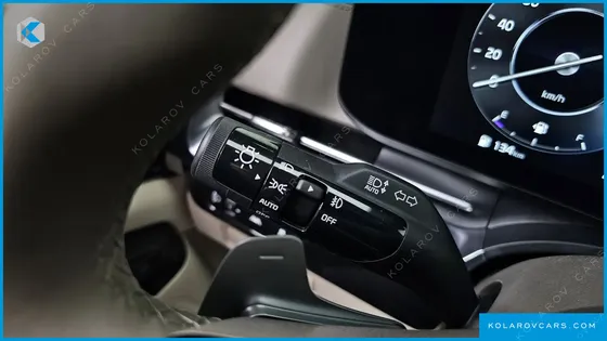 KIA CARNIVAL GASOLINE 9-SEATER HI-LIMOUSINE