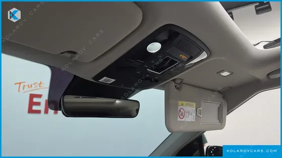 KIA CARNIVAL DIESEL 9-SEATER SIGNATURE