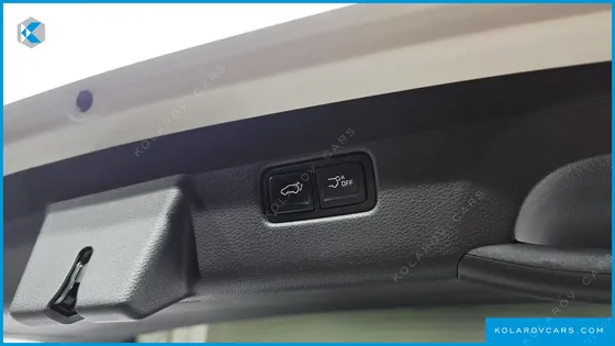 KIA CARNIVAL DIESEL 9-SEATER SIGNATURE