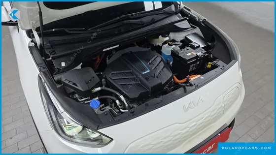 KIA NIRO EARTH