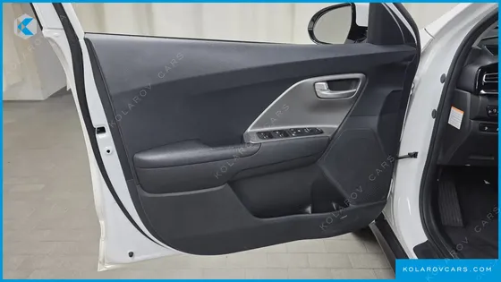 KIA NIRO EARTH