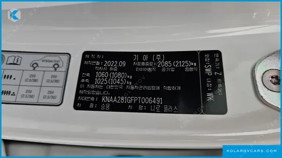 KIA NIRO EARTH
