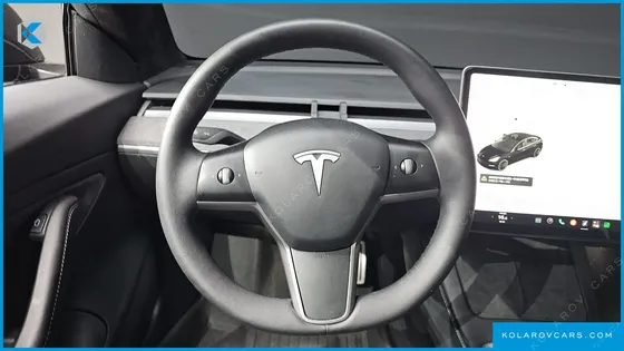 TESLA MODEL 3 PERFORMANCE AWD