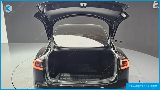 TESLA MODEL 3 PERFORMANCE AWD