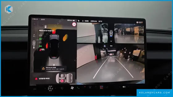 TESLA MODEL 3 스탠다드 RWD