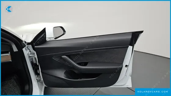TESLA MODEL 3 STANDARD RANGE PLUE RWD
