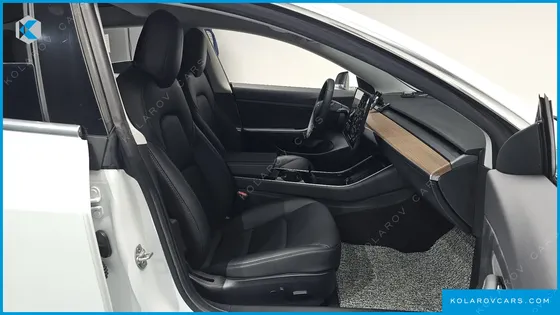 TESLA MODEL 3 STANDARD RANGE PLUE RWD