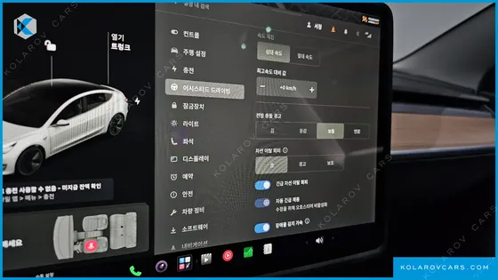 TESLA MODEL 3 STANDARD RANGE PLUE RWD