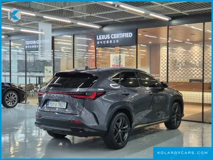 LEXUS NX PREMIUM
