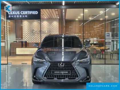 LEXUS NX PREMIUM