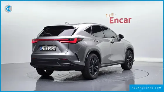 LEXUS NX PREMIUM