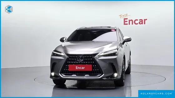 LEXUS NX PREMIUM