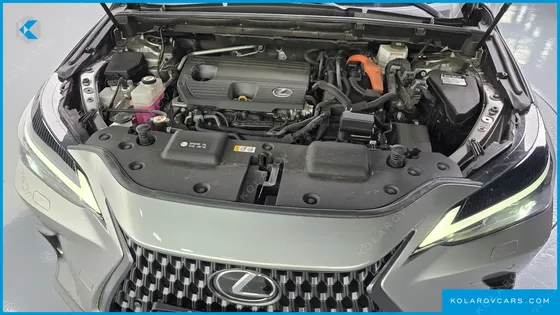 LEXUS NX PREMIUM