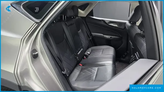LEXUS NX PREMIUM