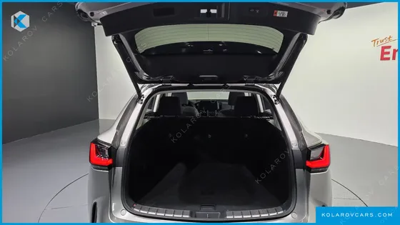 LEXUS NX PREMIUM