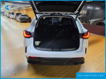 LEXUS NX PREMIUM