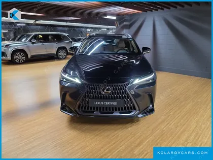 LEXUS NX LUXURY