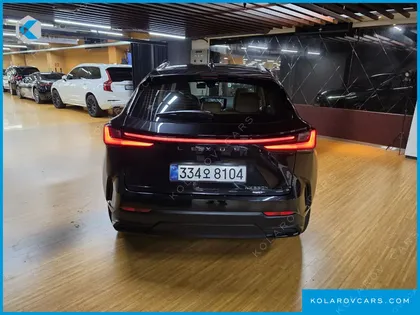 LEXUS NX LUXURY