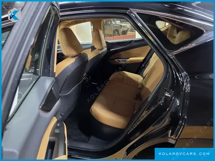 LEXUS NX LUXURY