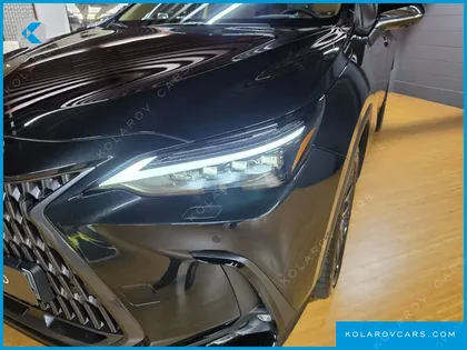LEXUS NX LUXURY