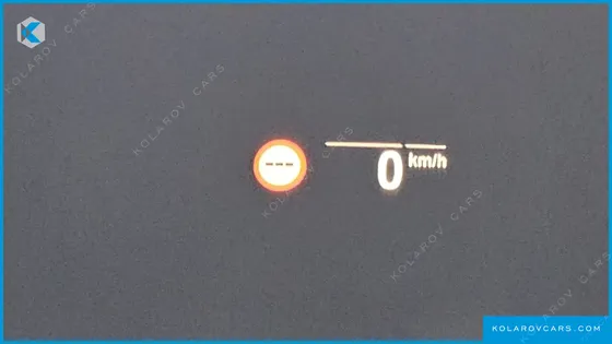 BMW X4 XDRIVE20I M SPORTS X ONLILE EXCLUSIVE EDITION