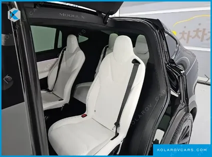 TESLA MODEL X PLAID