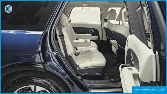 HYUNDAI PALISADE HEV 2.5T 4WD 9-SEATER