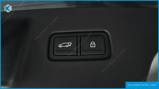 HYUNDAI PALISADE HEV 2.5T 4WD 9-SEATER