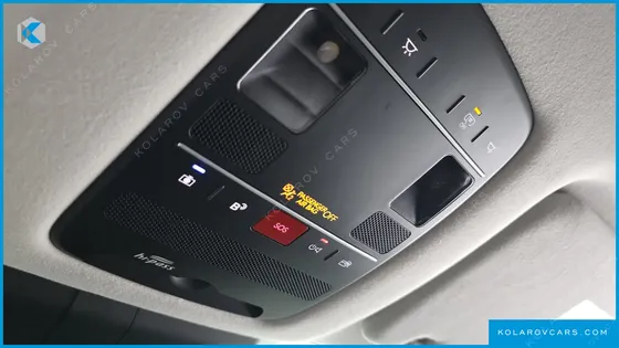HYUNDAI PALISADE HEV 2.5T 4WD 9-SEATER